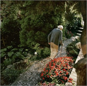 Photo from the New York Times