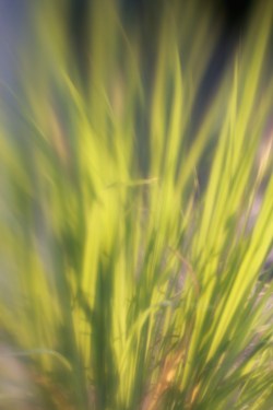 Plastic 06-23-12 002