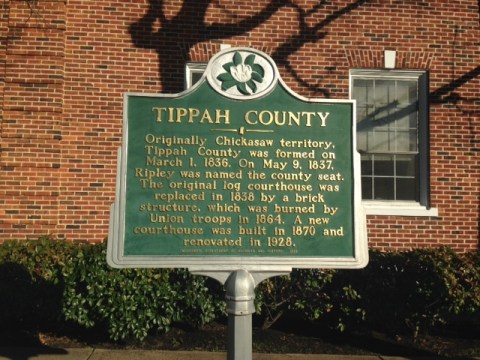 Tippah - Vicki Childers