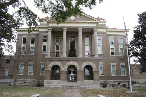 Sharkey - Beverly Kraft